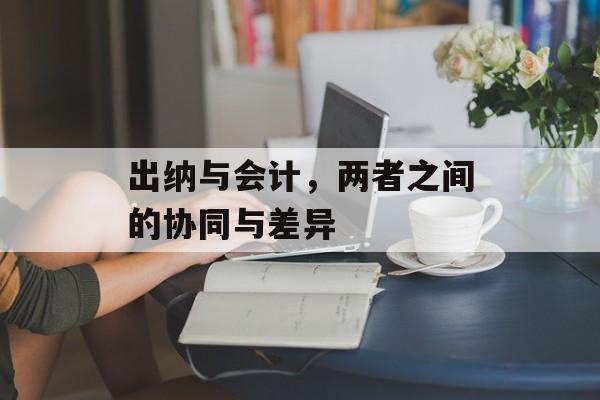 出纳与会计，两者之间的协同与差异