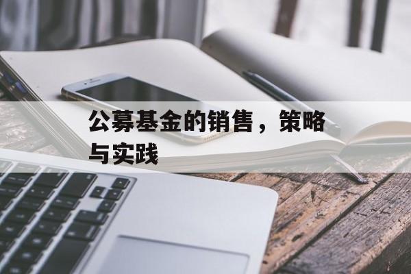 公募基金的销售，策略与实践