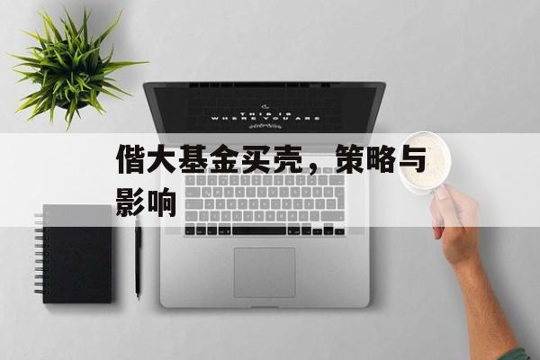 偕大基金买壳，策略与影响