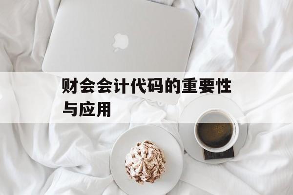 财会会计代码的重要性与应用