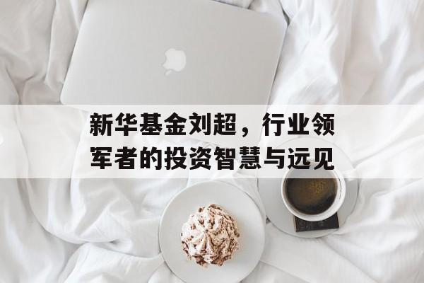 新华基金刘超，行业领军者的投资智慧与远见