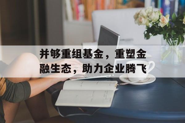 并够重组基金，重塑金融生态，助力企业腾飞