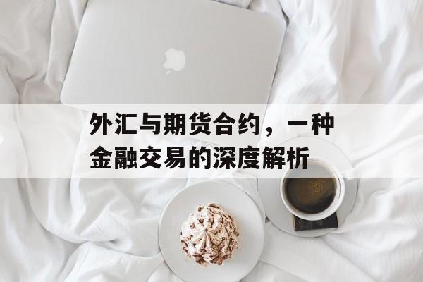 外汇与期货合约，一种金融交易的深度解析
