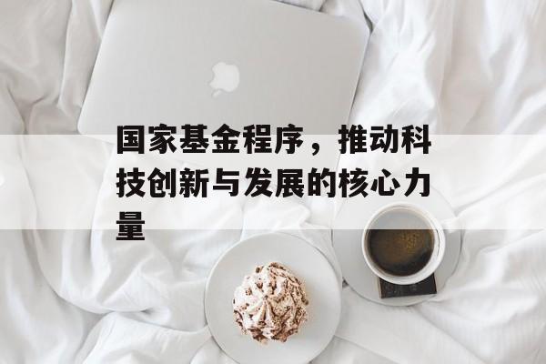 国家基金程序，推动科技创新与发展的核心力量