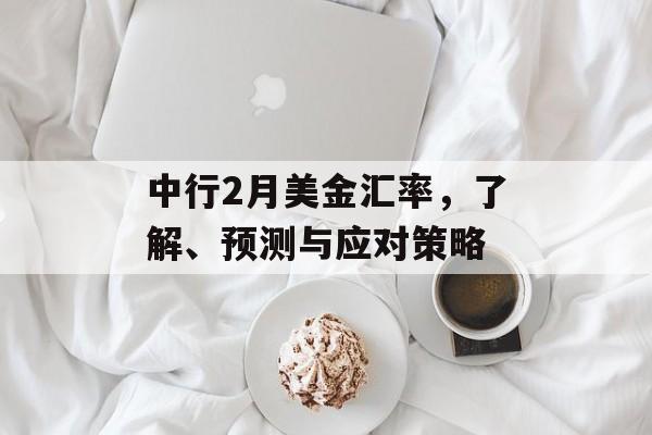 中行2月美金汇率，了解、预测与应对策略