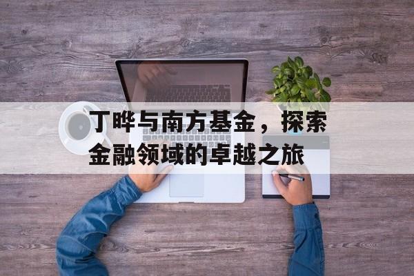 丁晔与南方基金，探索金融领域的卓越之旅