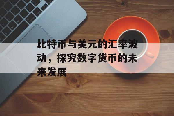 比特币与美元的汇率波动，探究数字货币的未来发展