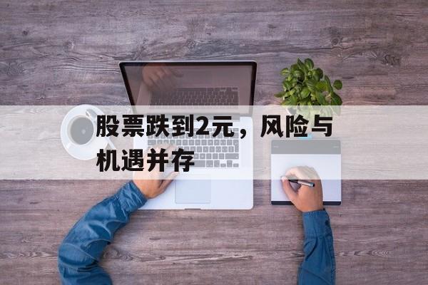 股票跌到2元，风险与机遇并存