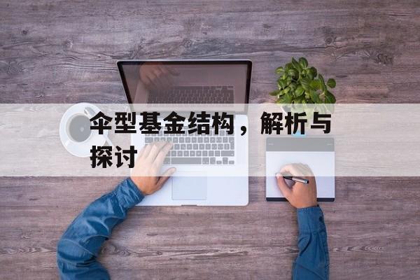 伞型基金结构，解析与探讨