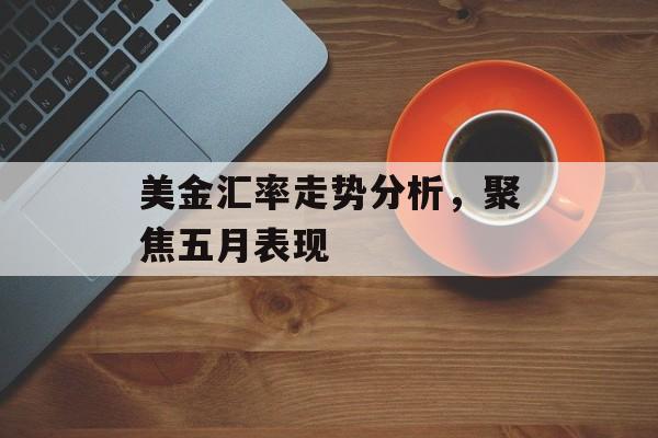 美金汇率走势分析，聚焦五月表现