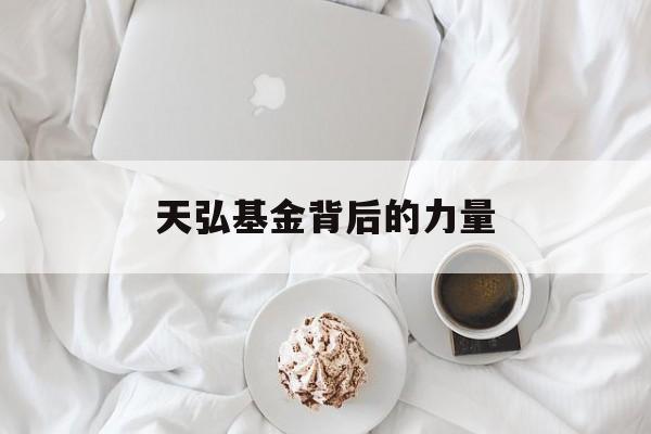 天弘基金背后的力量