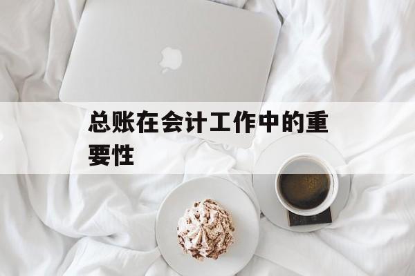 总账在会计工作中的重要性