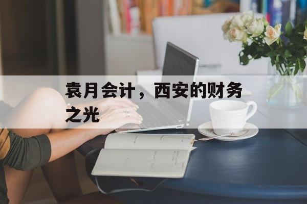 袁月会计，西安的财务之光