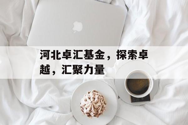 河北卓汇基金，探索卓越，汇聚力量