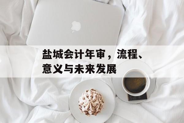 盐城会计年审，流程、意义与未来发展