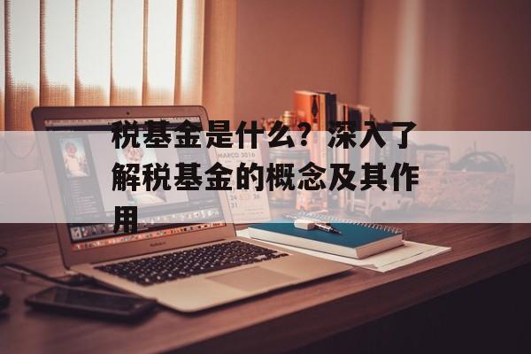 税基金是什么？深入了解税基金的概念及其作用