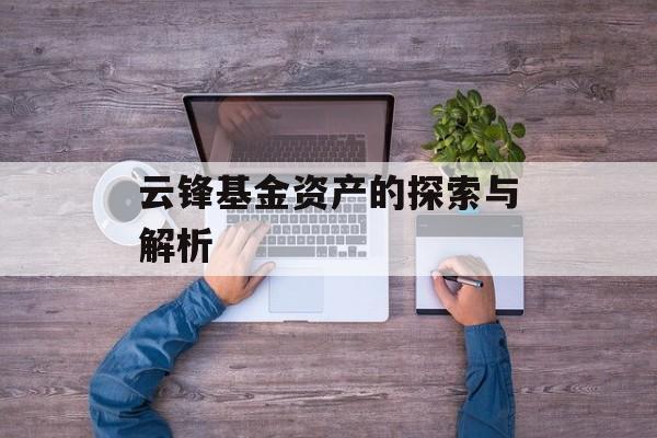 云锋基金资产的探索与解析
