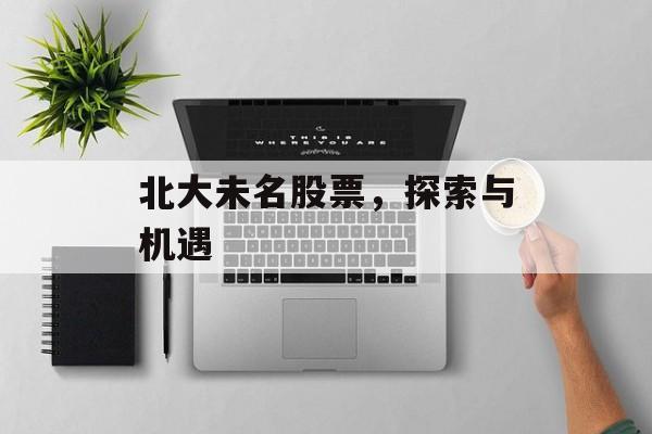 北大未名股票，探索与机遇
