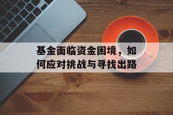 基金面临资金困境，如何应对挑战与寻找出路
