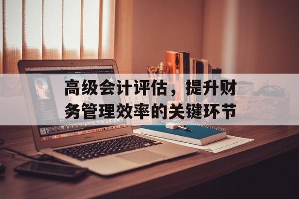 高级会计评估，提升财务管理效率的关键环节