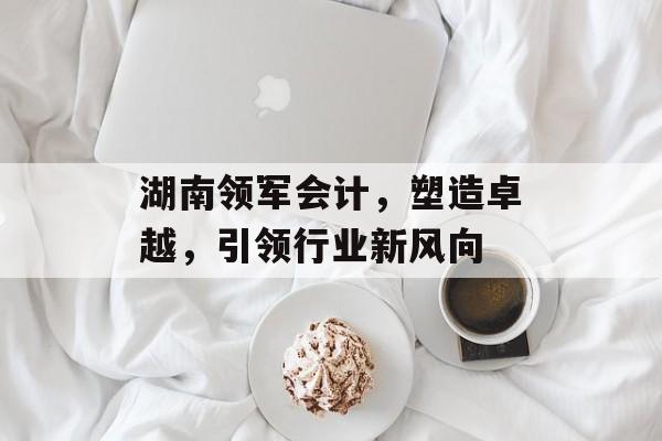 湖南领军会计，塑造卓越，引领行业新风向