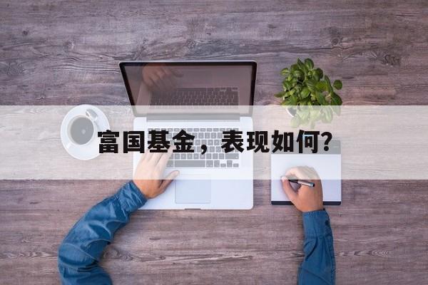 富国基金，表现如何？