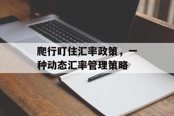 爬行盯住汇率政策，一种动态汇率管理策略