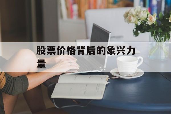 股票价格背后的象兴力量