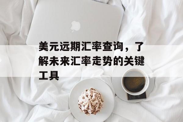 美元远期汇率查询，了解未来汇率走势的关键工具