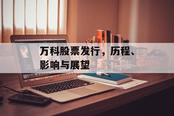 万科股票发行，历程、影响与展望