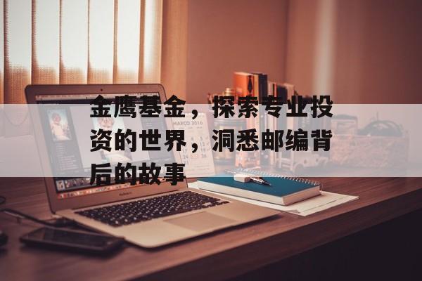 金鹰基金，探索专业投资的世界，洞悉邮编背后的故事