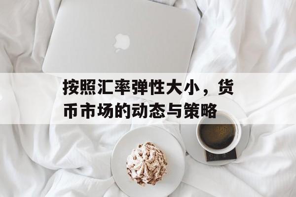 按照汇率弹性大小，货币市场的动态与策略