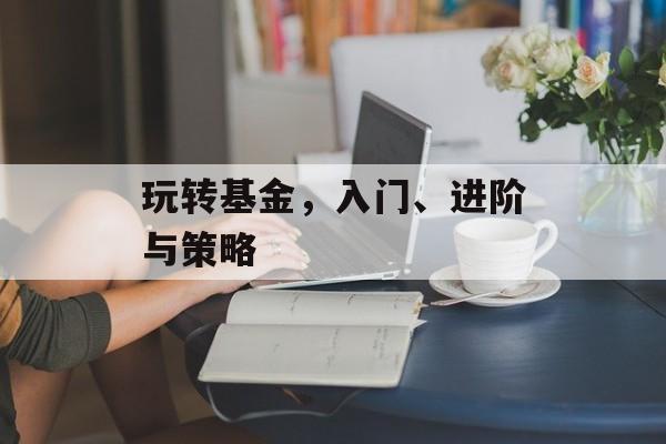 玩转基金，入门、进阶与策略