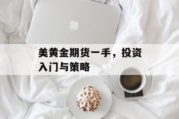 美黄金期货一手，投资入门与策略