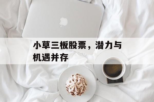 小草三板股票，潜力与机遇并存