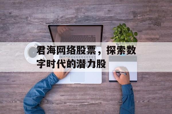 君海网络股票，探索数字时代的潜力股
