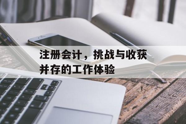 注册会计，挑战与收获并存的工作体验