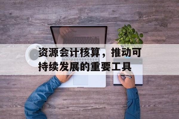 资源会计核算，推动可持续发展的重要工具