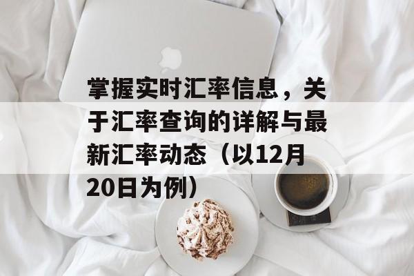 掌握实时汇率信息，关于汇率查询的详解与最新汇率动态（以12月20日为例）
