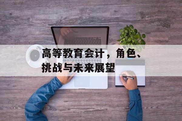 高等教育会计，角色、挑战与未来展望