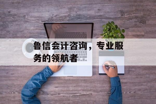 鲁信会计咨询，专业服务的领航者