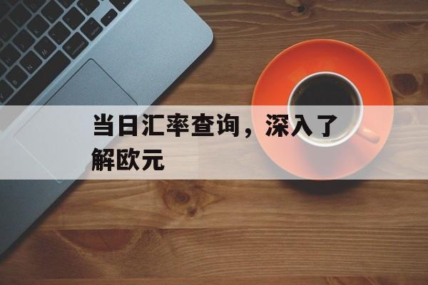 当日汇率查询，深入了解欧元