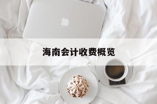 海南会计收费概览