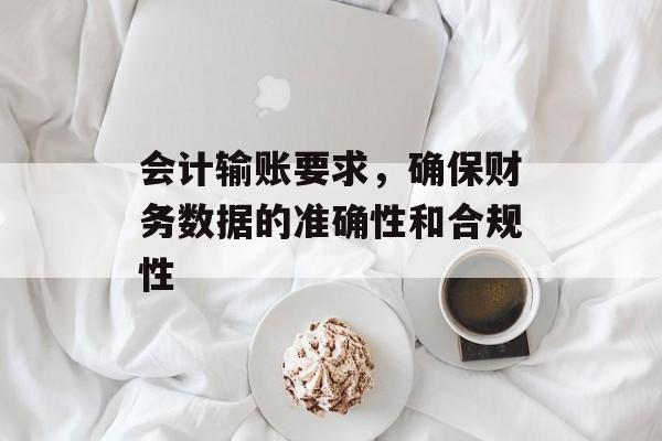 会计输账要求，确保财务数据的准确性和合规性
