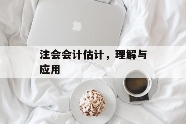 注会会计估计，理解与应用