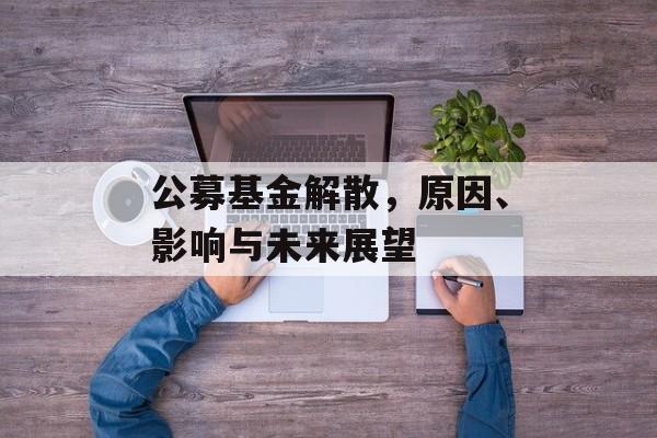 公募基金解散，原因、影响与未来展望