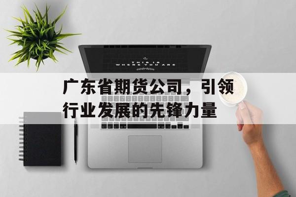 广东省期货公司，引领行业发展的先锋力量