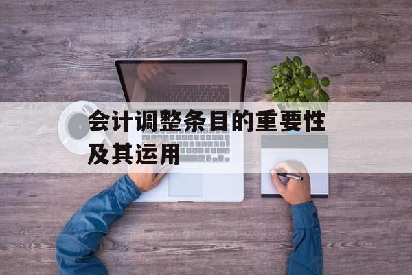会计调整条目的重要性及其运用