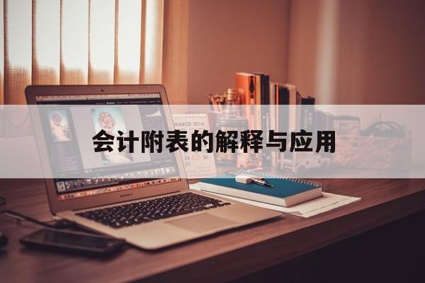 会计附表的解释与应用