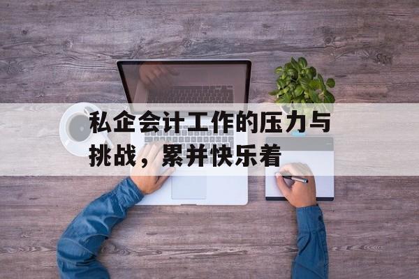 私企会计工作的压力与挑战，累并快乐着